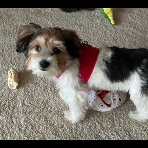 Meet your Posher, Cathy